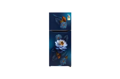 Picture of FRIDGE DOUBLE DOOR S 292 SBEY