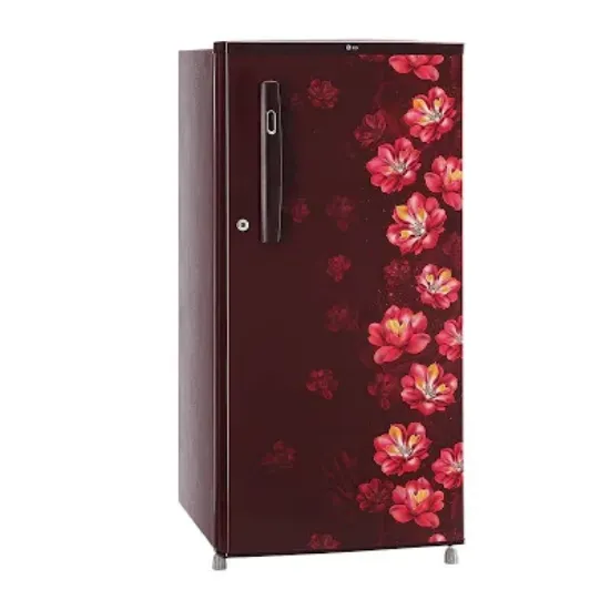 Picture of FRIDGE L.G B199OSTB 1STAR